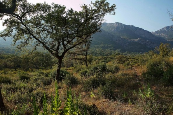 Land plots in the mountainous area of Montenegro. For sale. 